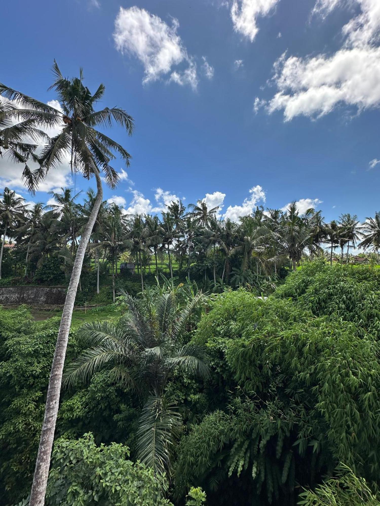 Hotel Tagel Karsa House Ubud Exterior foto